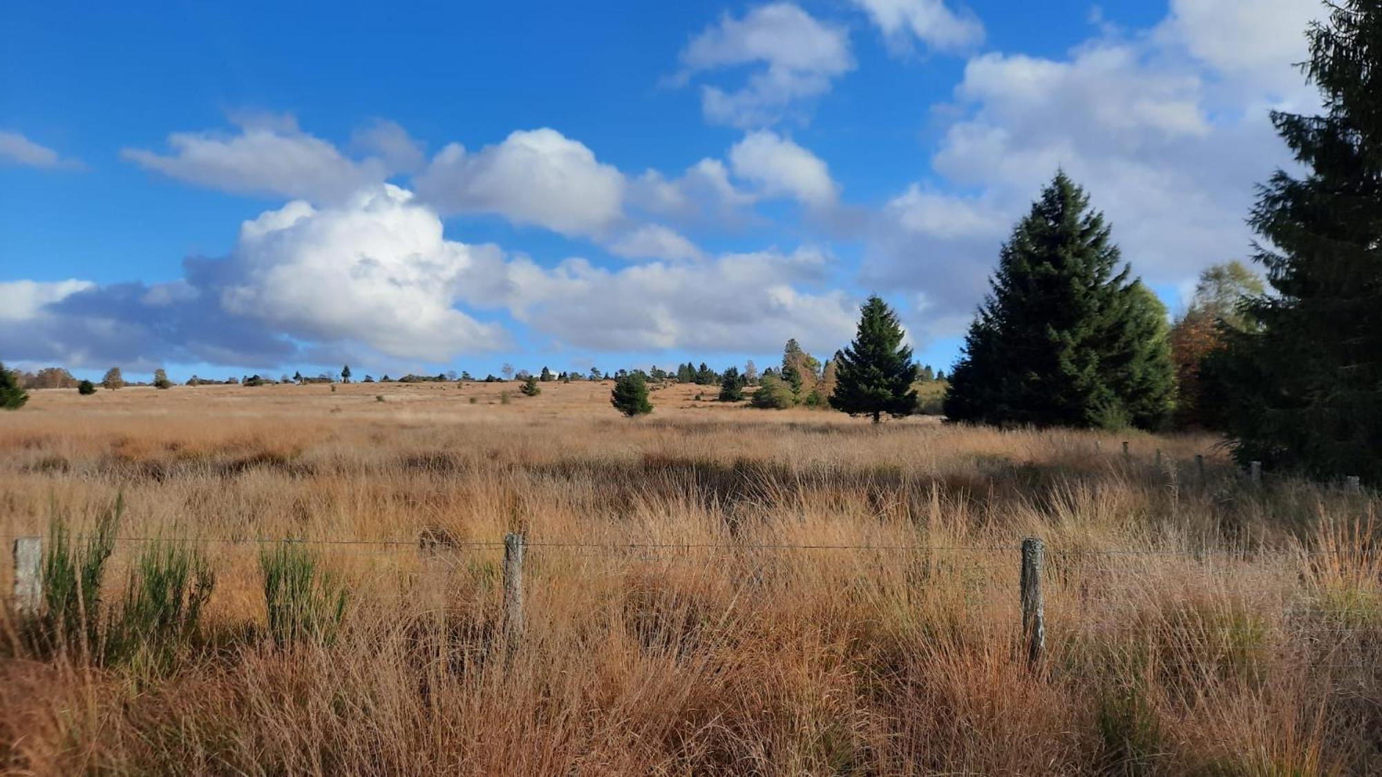 Au Coin Des Fagnes Apartment ชัลเลย์ ภายนอก รูปภาพ